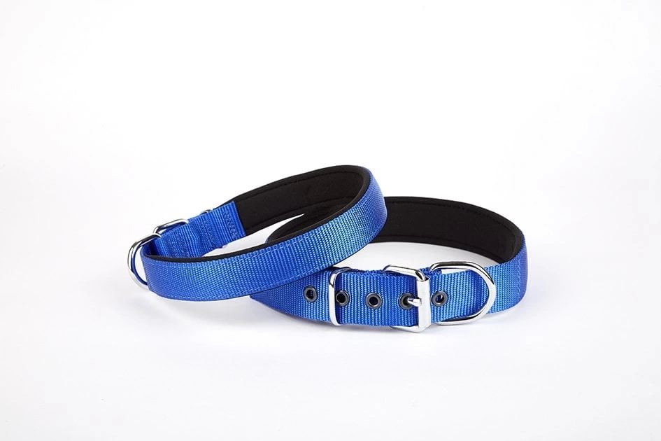 Softlu Köpek Boyun Tasması 3 cm x 55 cm Mavi