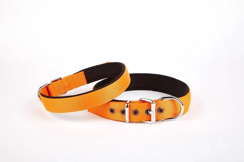 Softlu Köpek Boyun Tasması 3 cm x 55 cm Turuncu