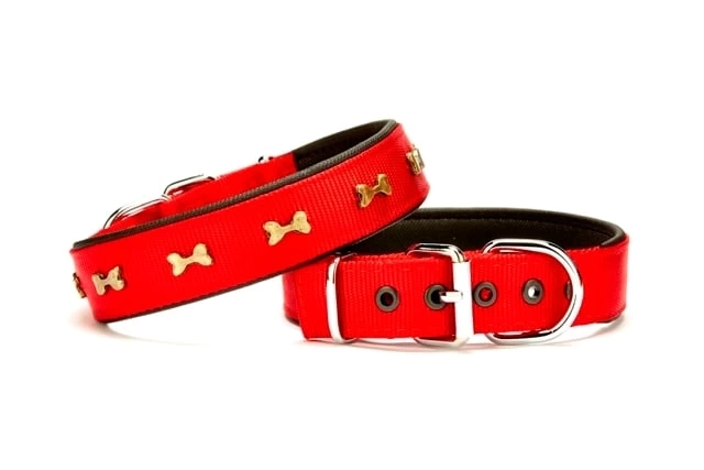 Softlu Metal Kemik Desenli Köpek Tasma 3 cm x 65 cm Kırmızı