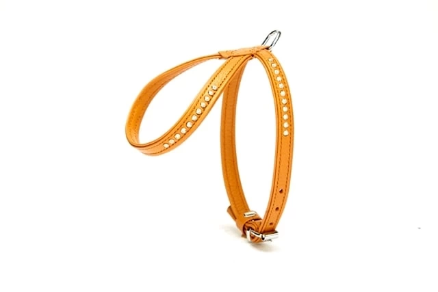 Swarovski Taşlı Deri Köpek Göğüs Tasması 1,2 x 25-35 cm Kamel