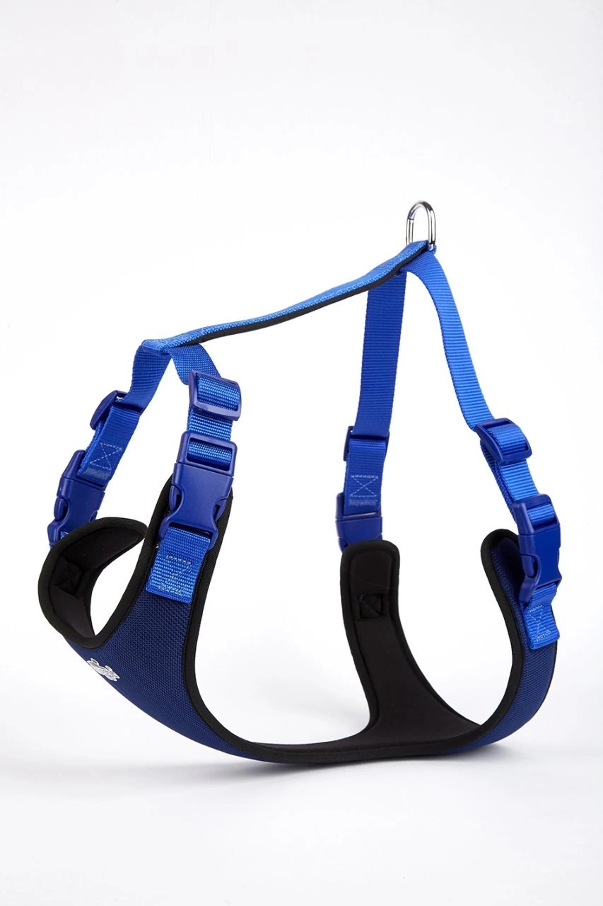 Yumuşak Softlu Köpek Göğüs Tasması 45/55 cm Mavi