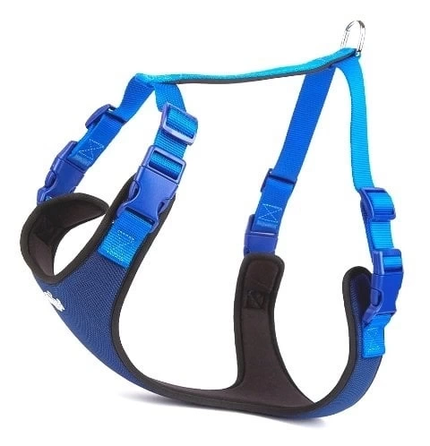 Yumuşak Softlu Köpek Göğüs Tasması 45/55 cm Mavi