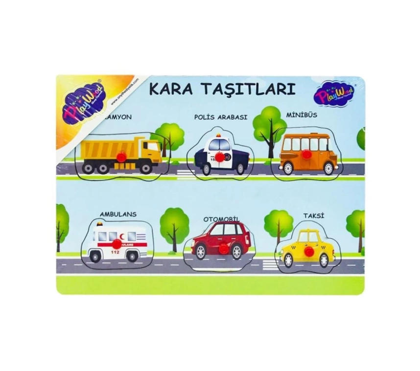 147/148 AHŞAP TUTMALI KARA VE HAVA TAŞITLARI