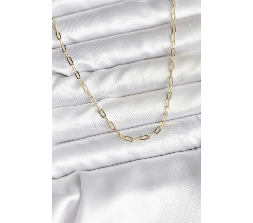 14K Gold Renk Kaplama Ataç Zincir Model CM Kadın Kolye