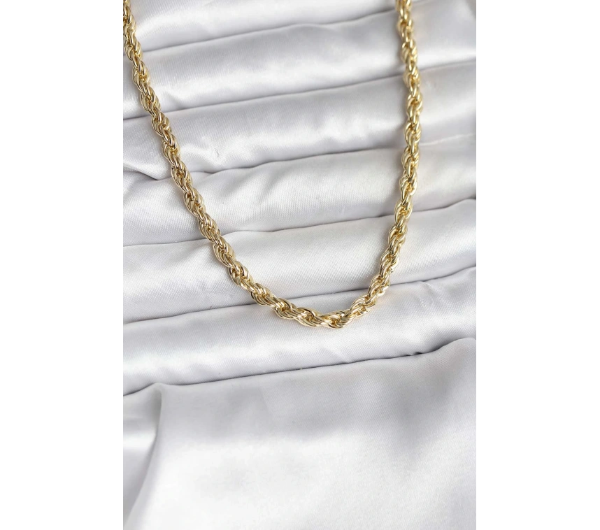 14K Gold Renk Kaplama Burgu Model CM Kadın Kolye