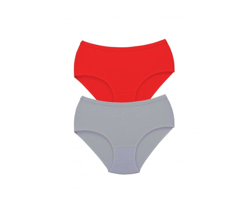 2 Adet Tutku Kadın Yüksek Bel Bato Kalın Lastik Külot S6