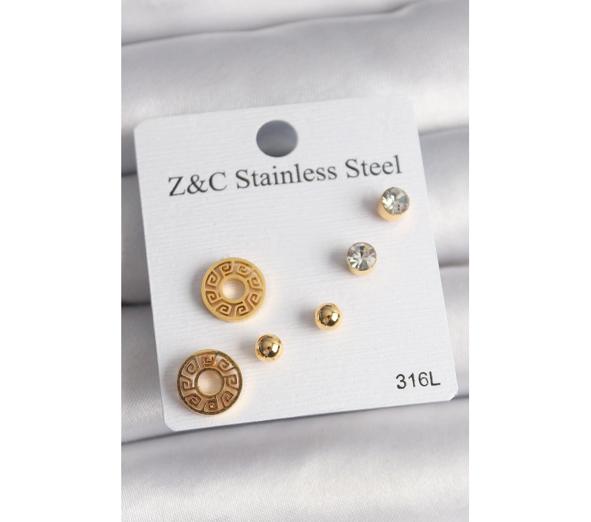 316L Çelik Gold Renk Zirkon Taşı Labirent Model Kadın Küpe Seti