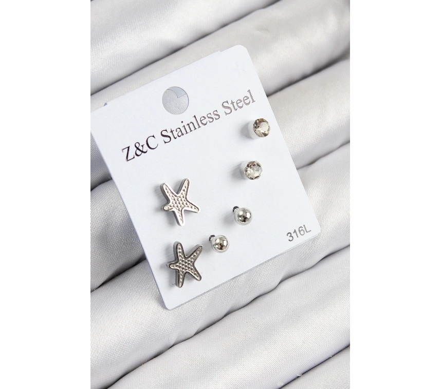 316L Çelik Zirkon Taşlı Deniz Yıldızı Model Gümüş Renk Kadın Set Küpe