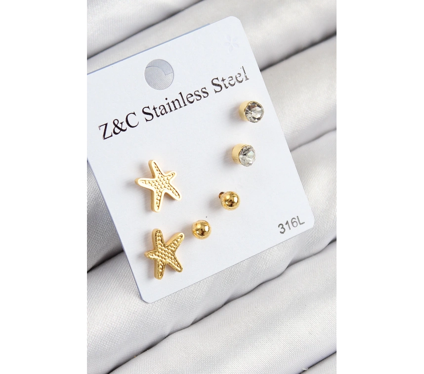 316L Çelik Zirkon Taşlı Deniz Yıldızı Model Gümüş Renk Kadın Set Küpe