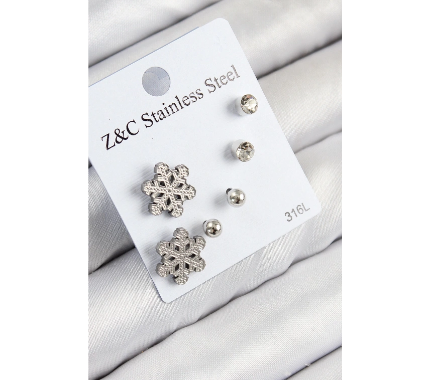 316L Çelik Zirkon Taşlı Kar Tanesi Model Gümüş Renk Kadın Set Küpe