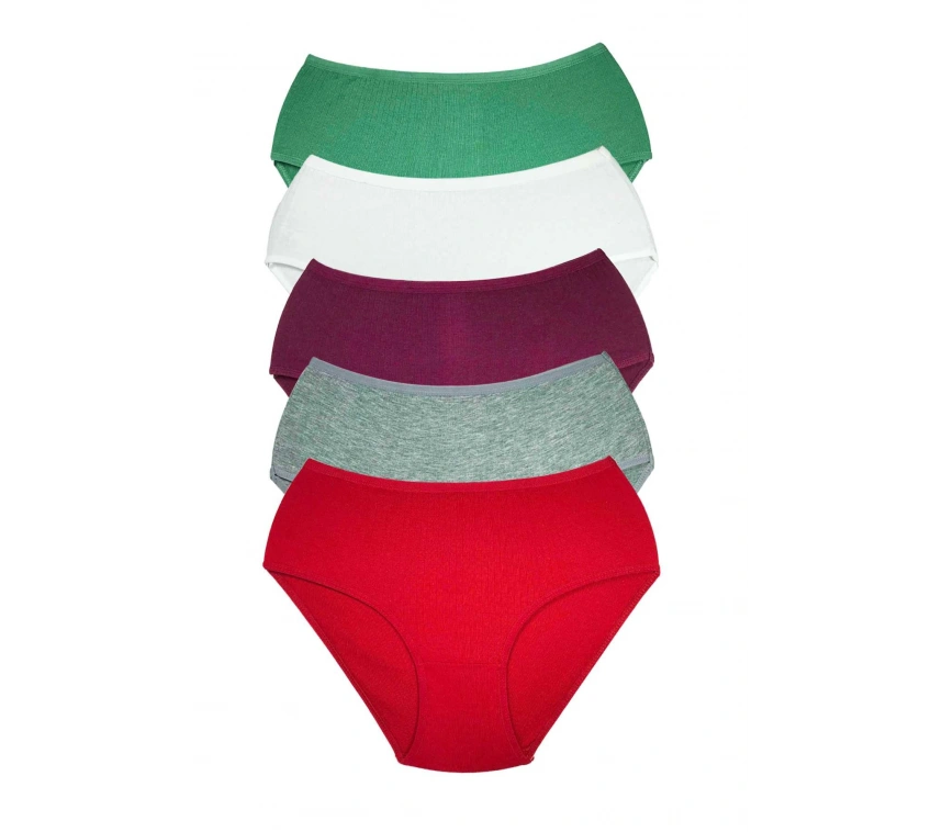 5 Adet Kadın Yüksek Bel Ribana Bato Külot S044