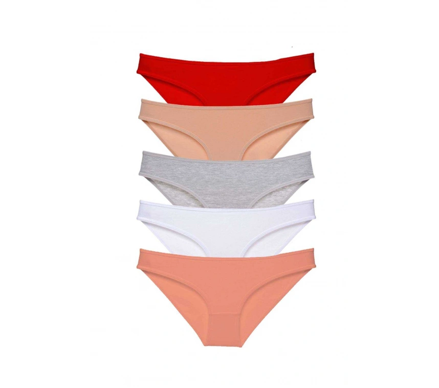 5 Adet Süper Eko Set Likralı Kadın Slip Külot 523