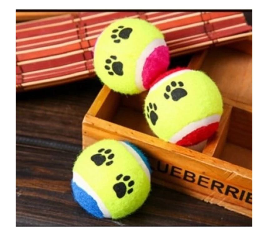 At Getir Köpek Eğitim Topu