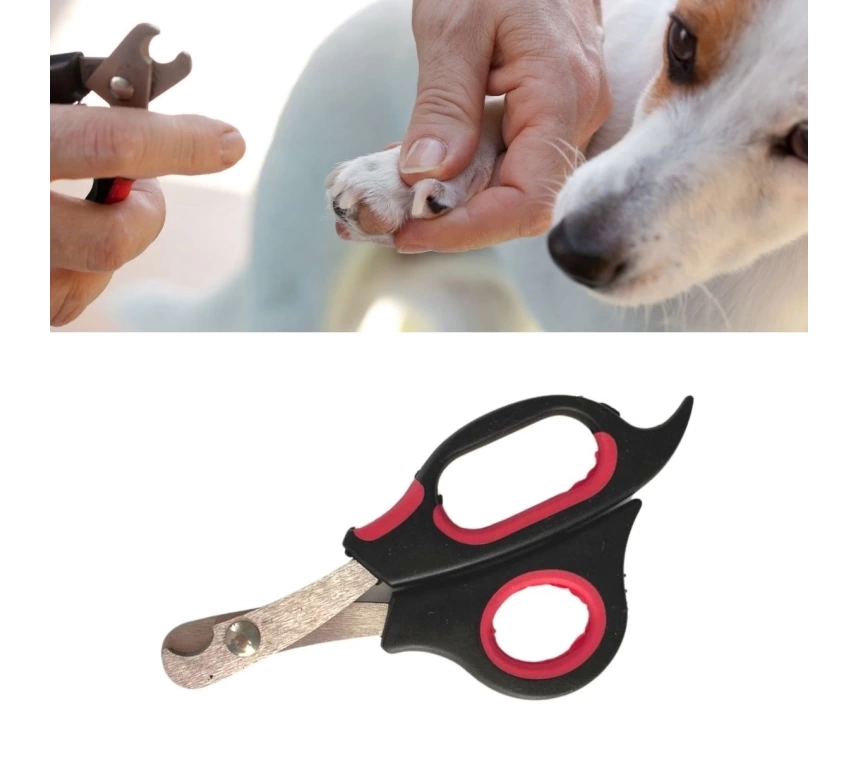 Büyük Boy Evcil Hayvan Köpek Kedi Çelik Uçlu Tırnak Makası Pati Bakım Aleti