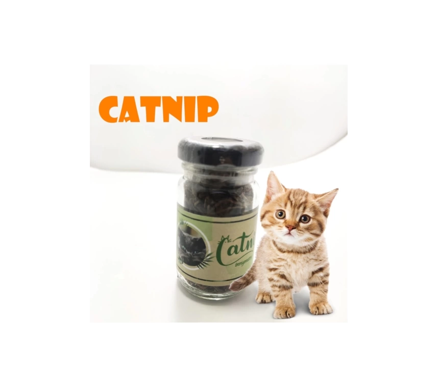 Catnip Doğal Kedi Otu - Kedi Nanesi