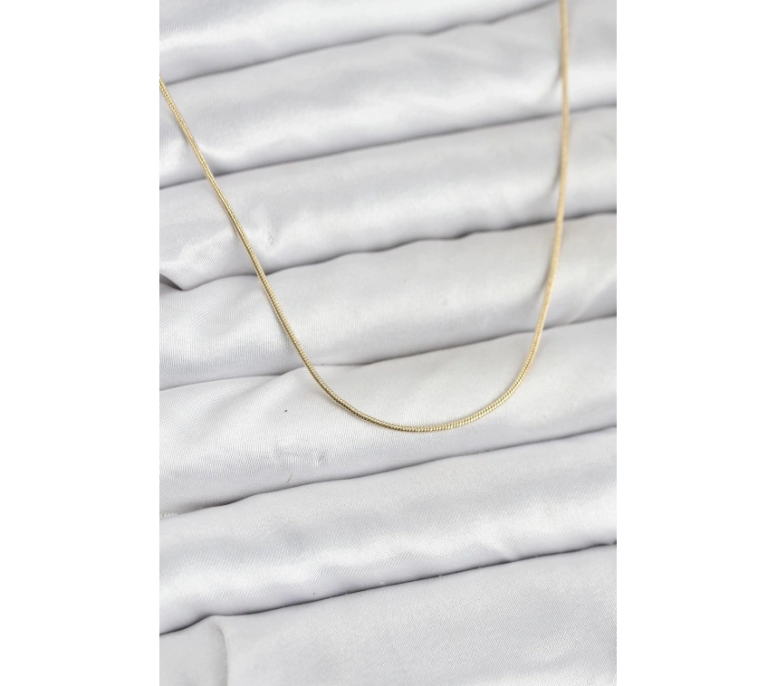 CM 14K Gold Renk Yılan Zincir Model Kadın Kolye