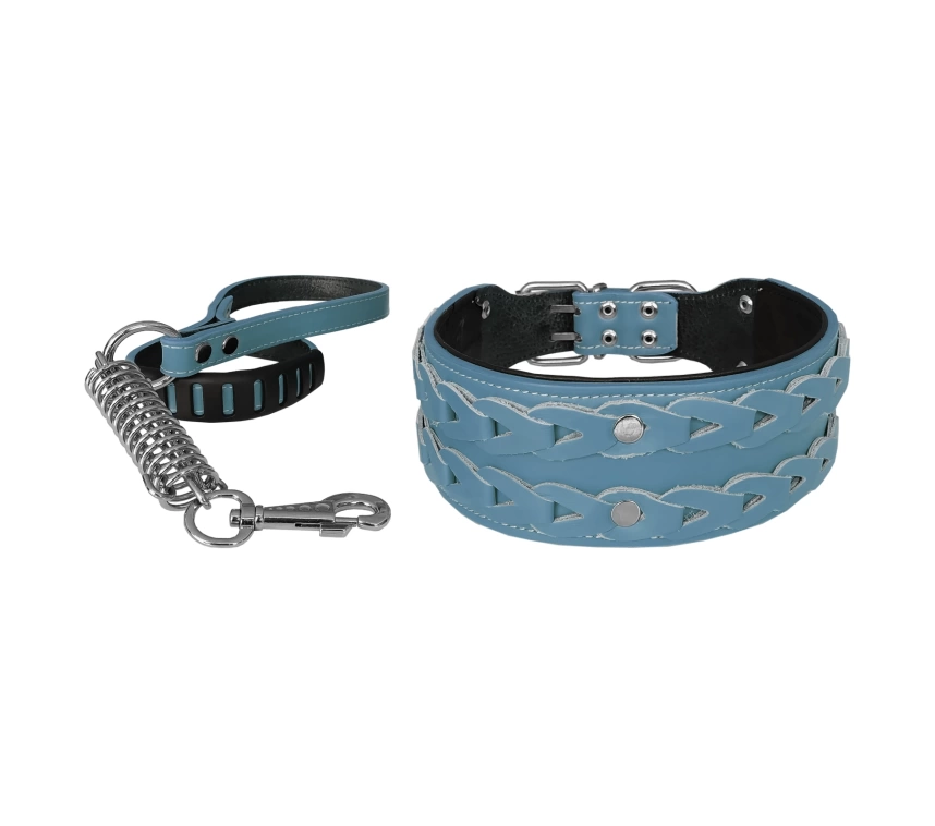 Deri İşlemeli Lüks Köpek Tasma Seti XL 7 cm*60-68 cm Turkuaz