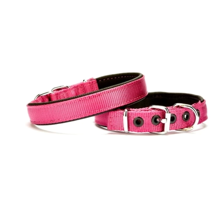Dokuma Softlu Köpek Boyun Tasması 2 cm x 45 cm Mor