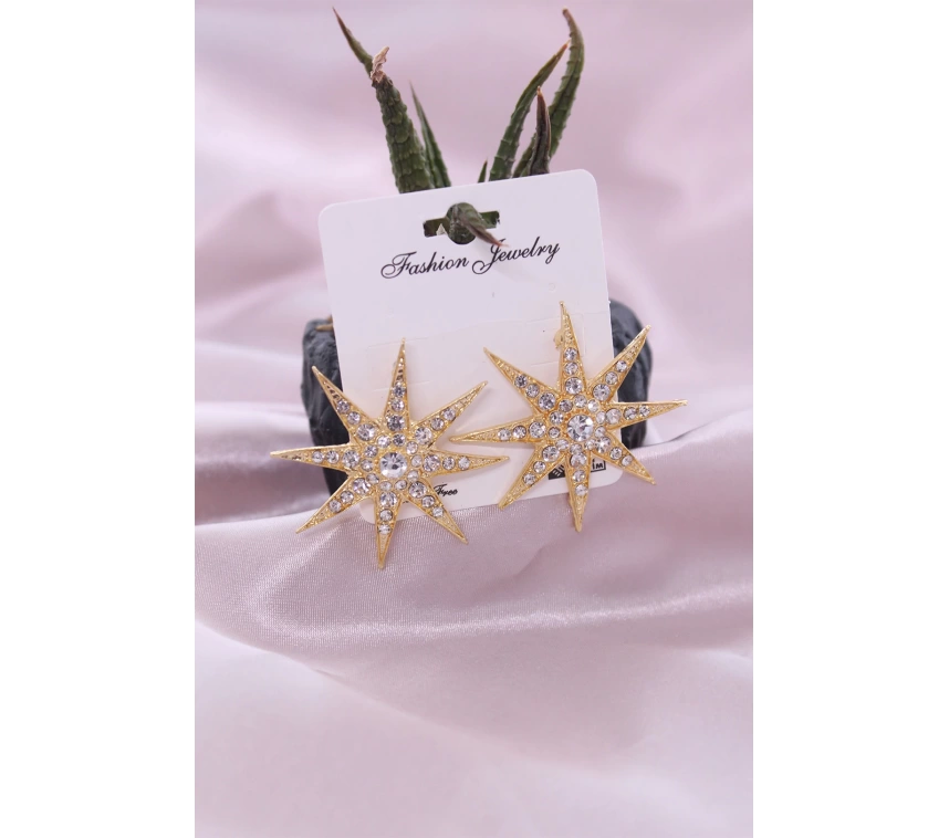 Gold Renk Metal Zirkon Taşlı Kutup Yıldızı Model Kadın Küpe Seti