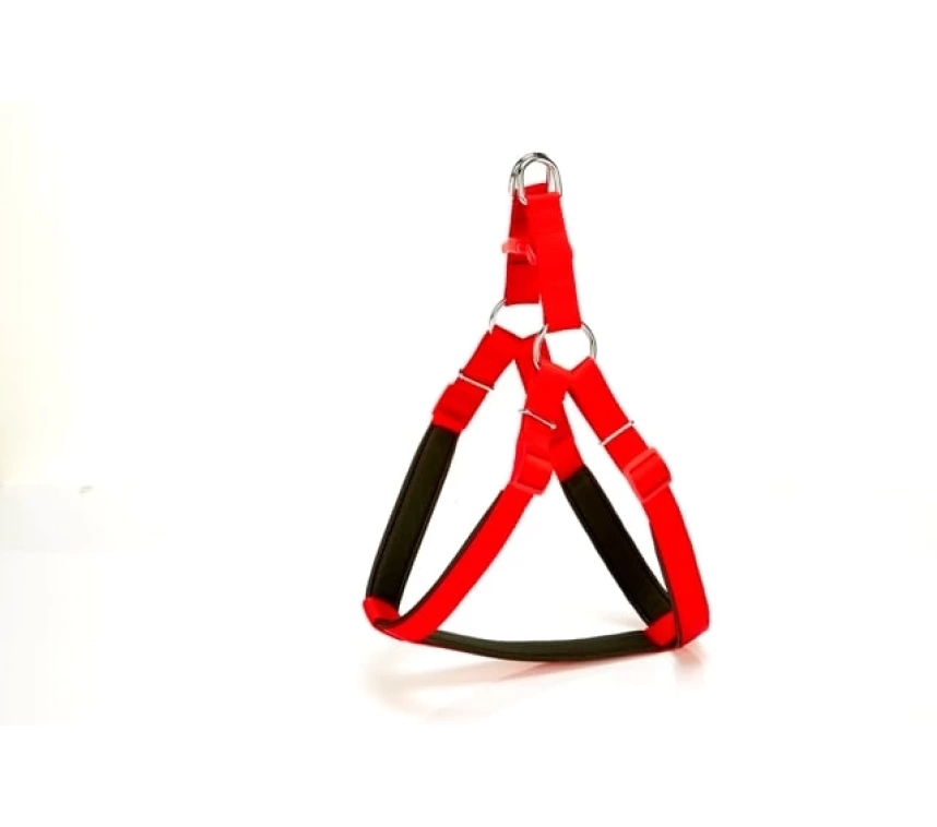 Köpek Bel Tasması 70cm Large Kırmızı