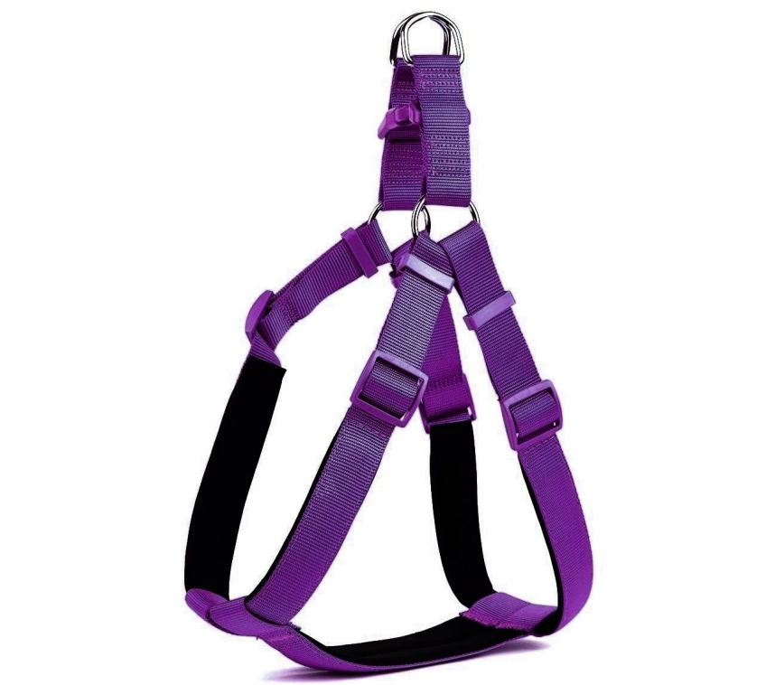 Köpek Bel Tasması 85 cm Mor