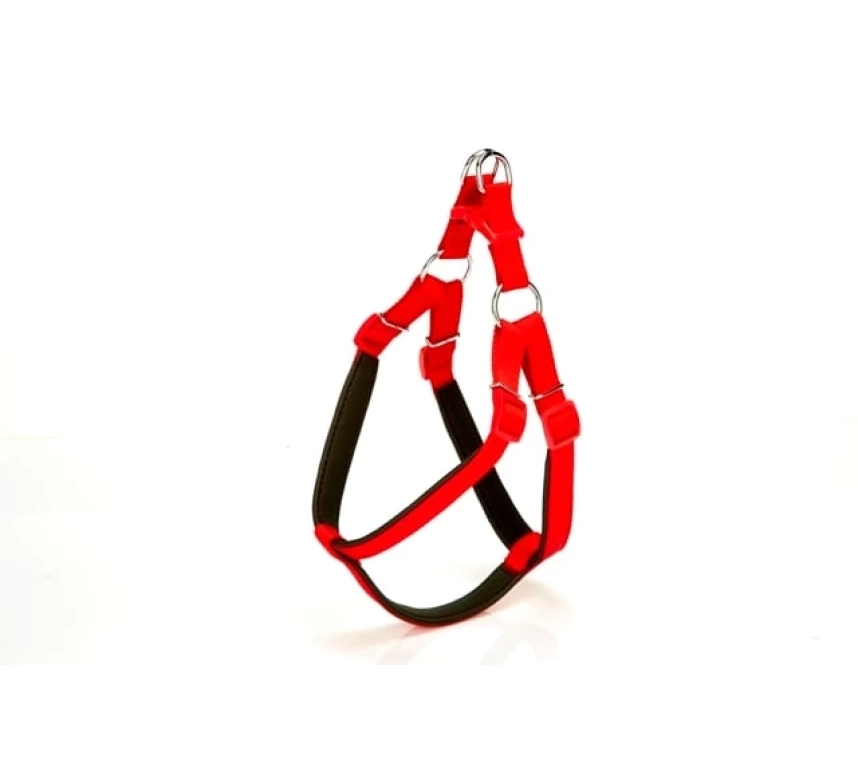 Köpek Bel Tasması 95cm XX-Large Kırmızı
