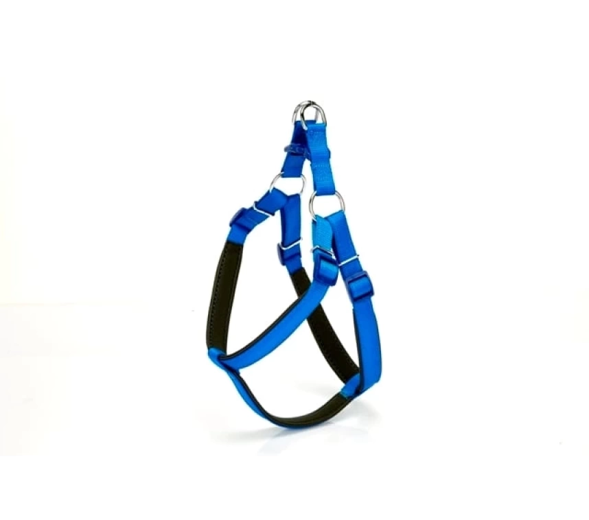 Köpek Bel Tasması 95cm XX-Large Mavi