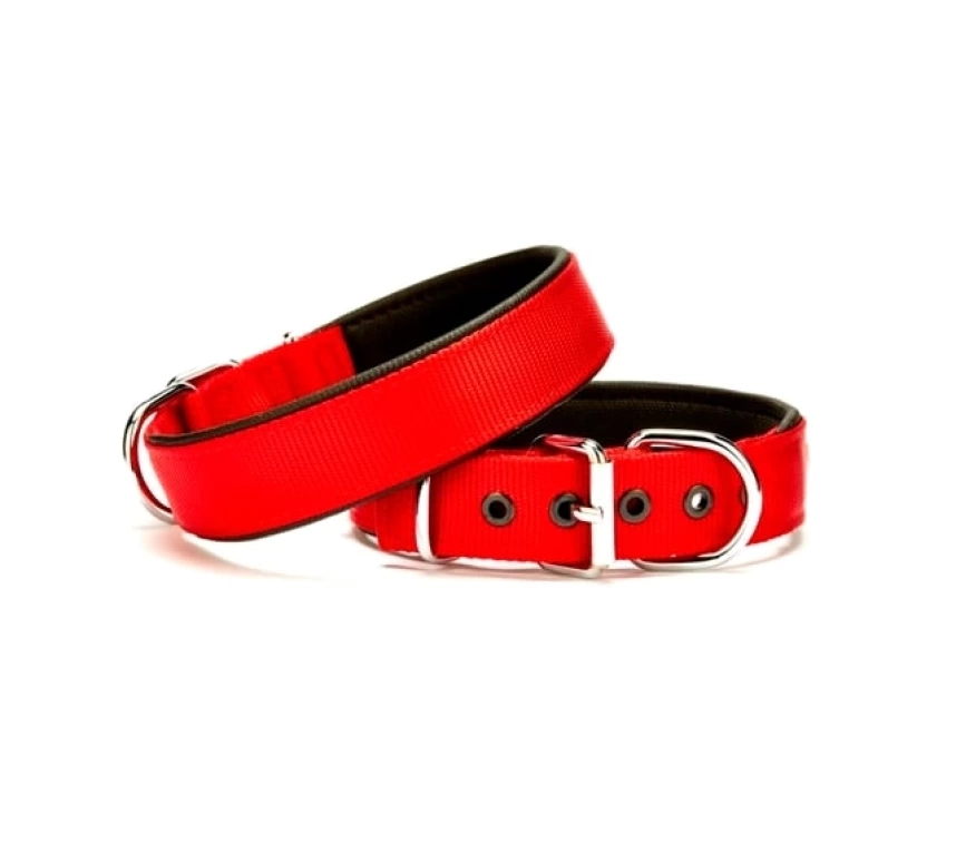 Köpek Boyun Tasma 3*55 cm Kırmızı