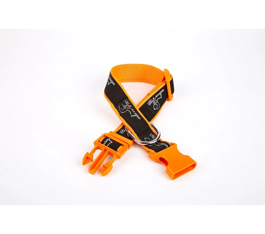 Köpek Desenli Dokuma Köpek Boyun Tasması 3 cm x 36-60 cm Turuncu