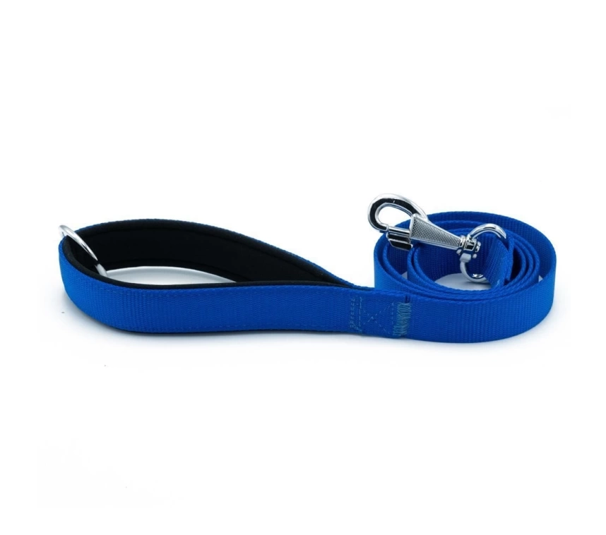 Köpek Gezdirme Kayışı 2,5*120 cm Mavi