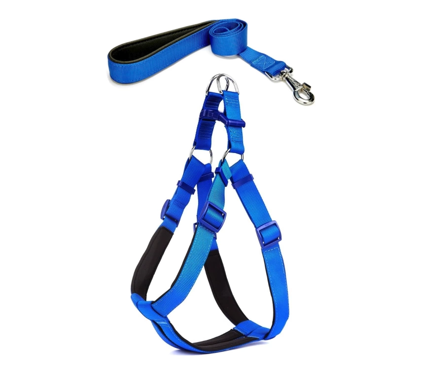 Köpek Göğüs Tasma Seti 40-60 cm Mavi + Gezdirme Kayışı