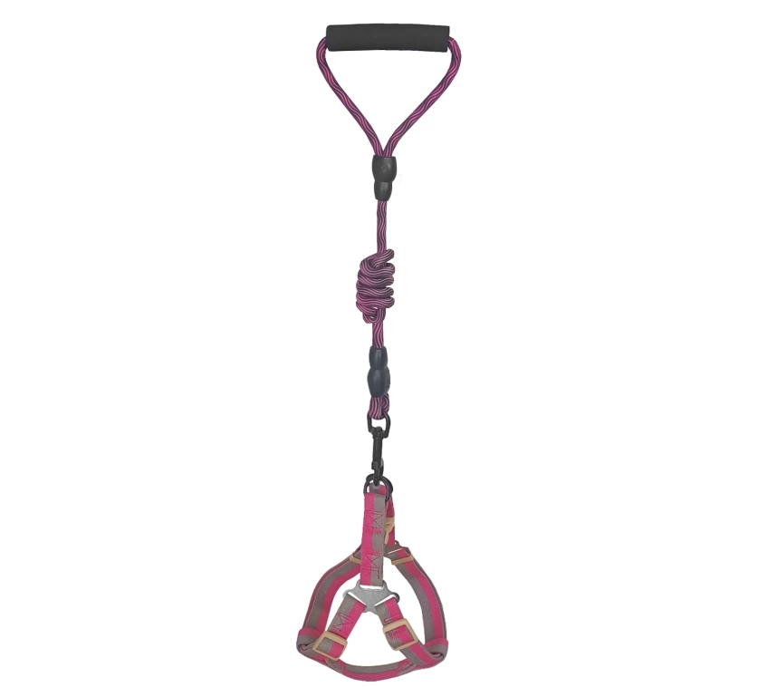 Köpek Göğüs Tasma Seti Dalga Desenli 2 cm*40-58 cm Mor-Pembe