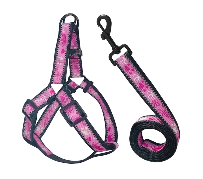Köpek Göğüs Tasma Seti Reflektörlü Taç Desenli 120 cm-50 cm-70 cm Pembe