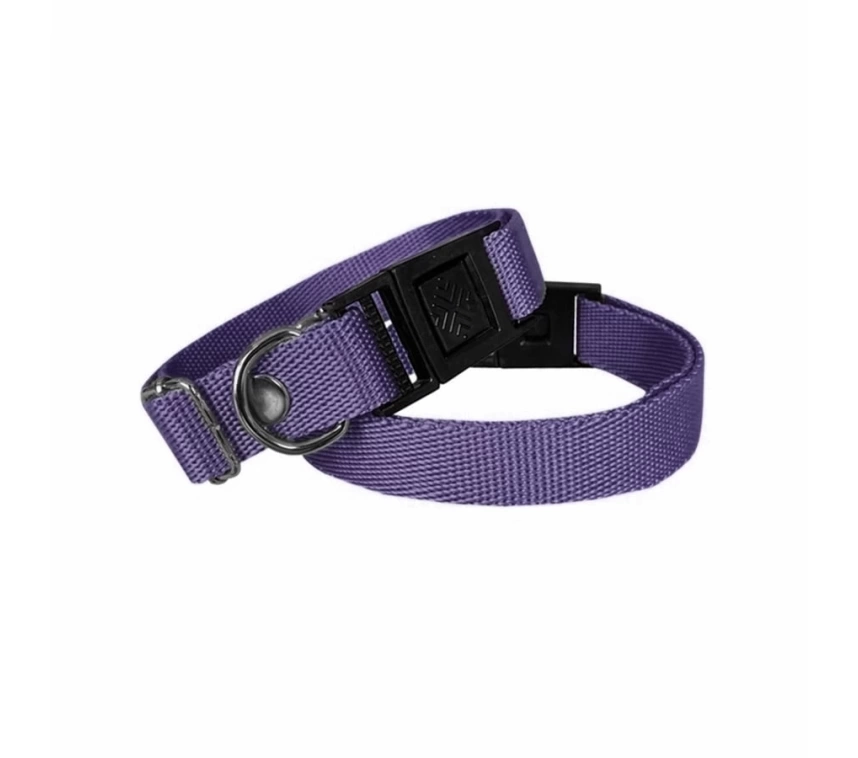 Köpek Tasması Dokuma 2 cm - Min: 30 cm - Max: 50 cm Mor