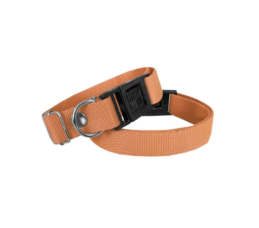 Köpek Tasması Dokuma 2 cm - Min: 30 cm - Max: 50 cm Turuncu