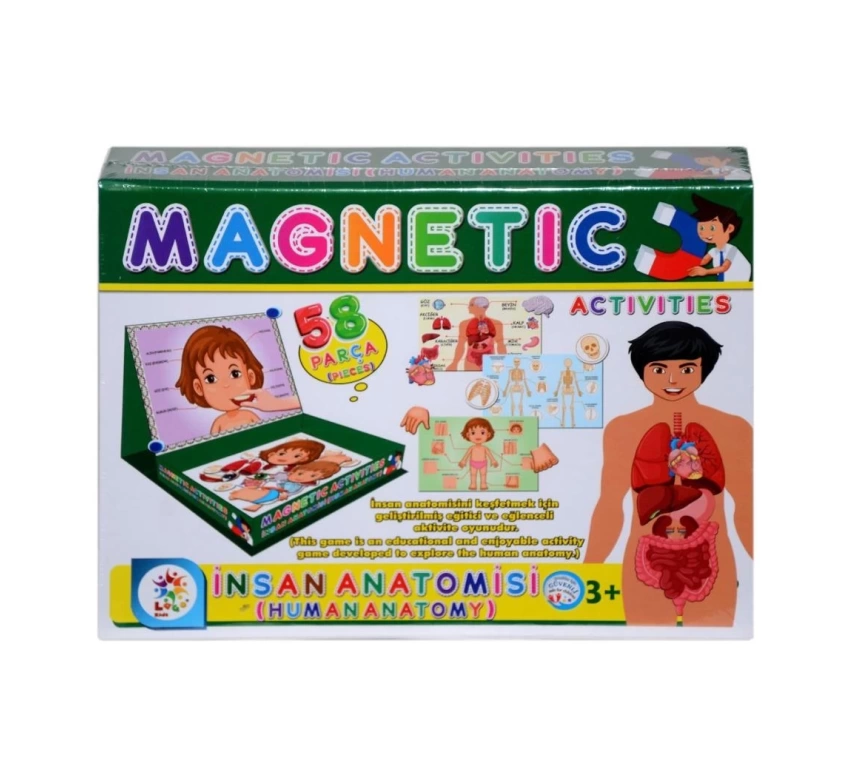 LC7171 Laço, Laço, Manyetik Aktiviteler - İnsan Anatomisi / +3 yaş