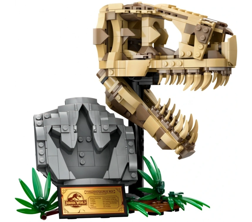 NessiWorld Dinozor Fosilleri: T. rex Kafatası 76964