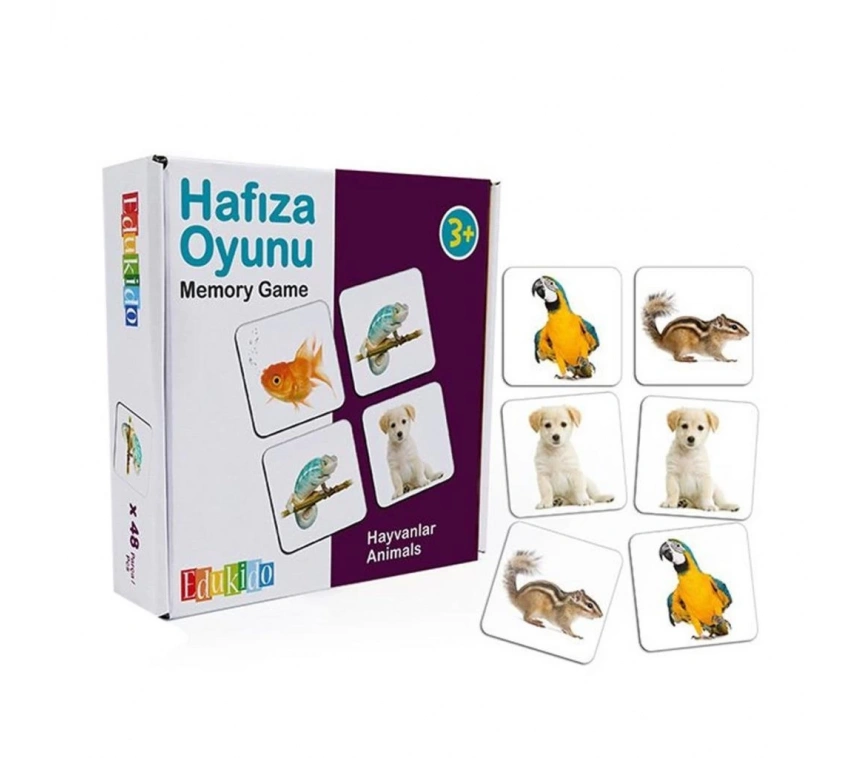 Nessiworld EDU-2013 Hafıza Oyunu Gerçek Hayvanlar -Chiva