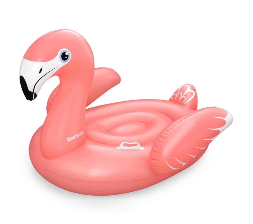 Nessiworld Flamingo Şişme Bot 41526