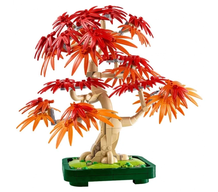 Botanicals Japon Kırmızı Akçaağaç Bonsai Ağacı 10348