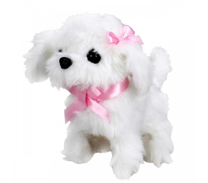 Nessiworld  Sunman Sevimli Köpek Maltese