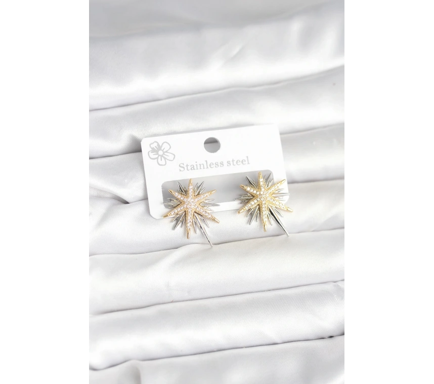 Pirinç Gümüş Renk Kutup Yıldızı Kadın Küpe