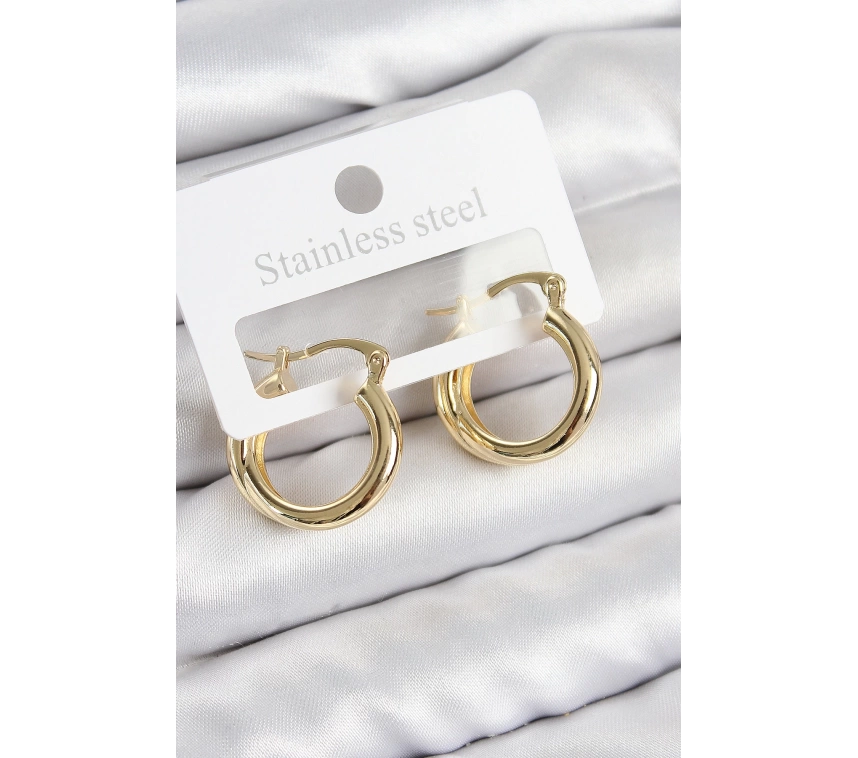 Pirinç Halka Model Gold Renk Kadın Küpe