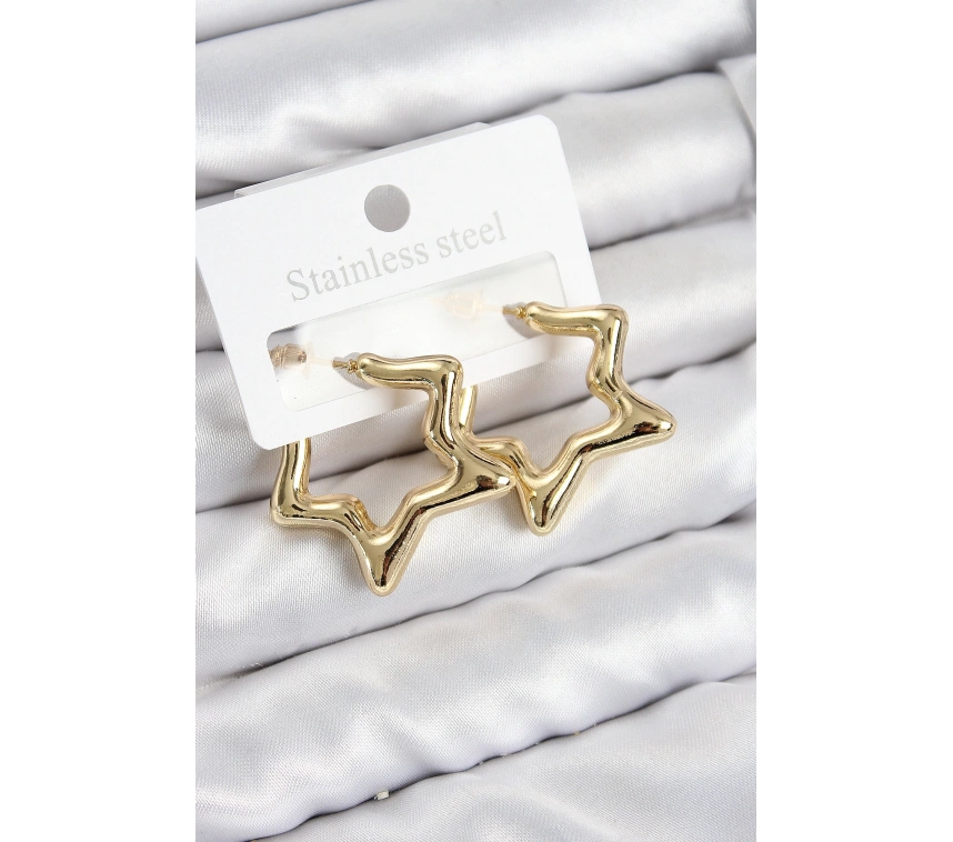 Pirinç Yıldız Model Gold Renk Kadın Küpe