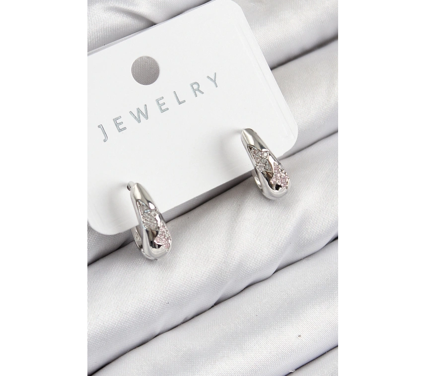 Pirinç Zirkon Taş Desenli Model Gümüş Renk Kadın Küpe