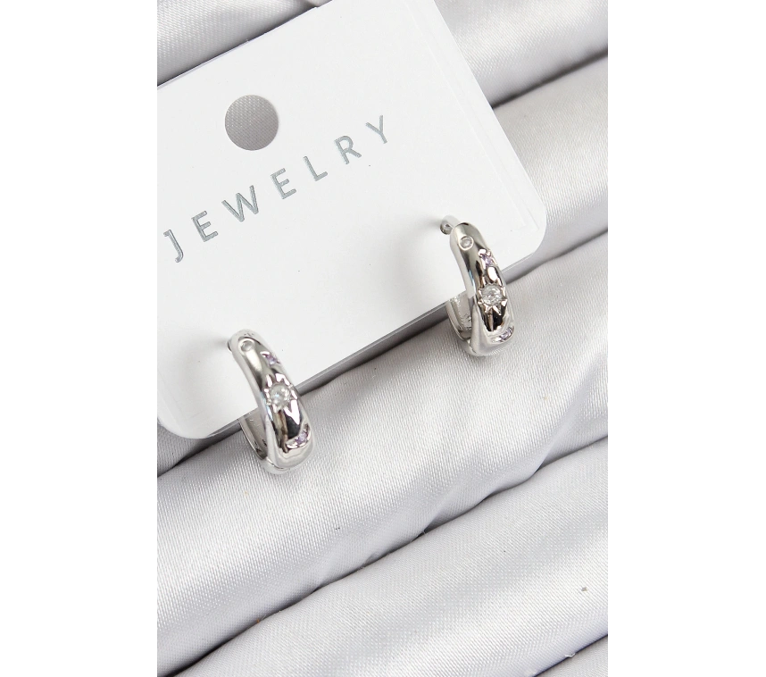 Pirinç Zirkon Taşlı Halka Model Gümüş Renk Kadın Küpe