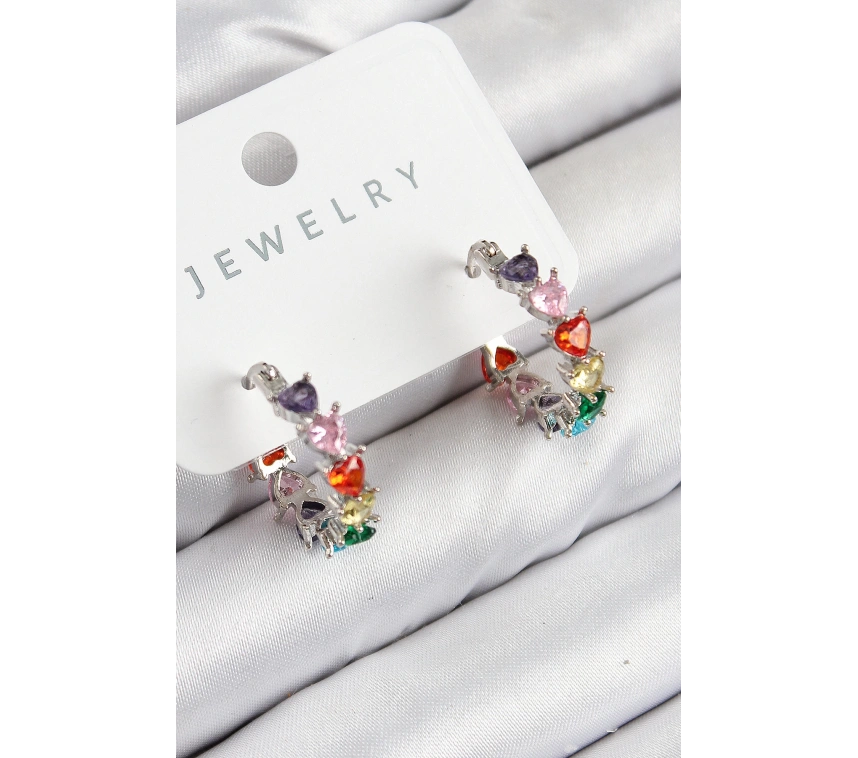 Pirinç Zirkon Taşlı Kalp Model Gümüş Renk Kadın Küpe