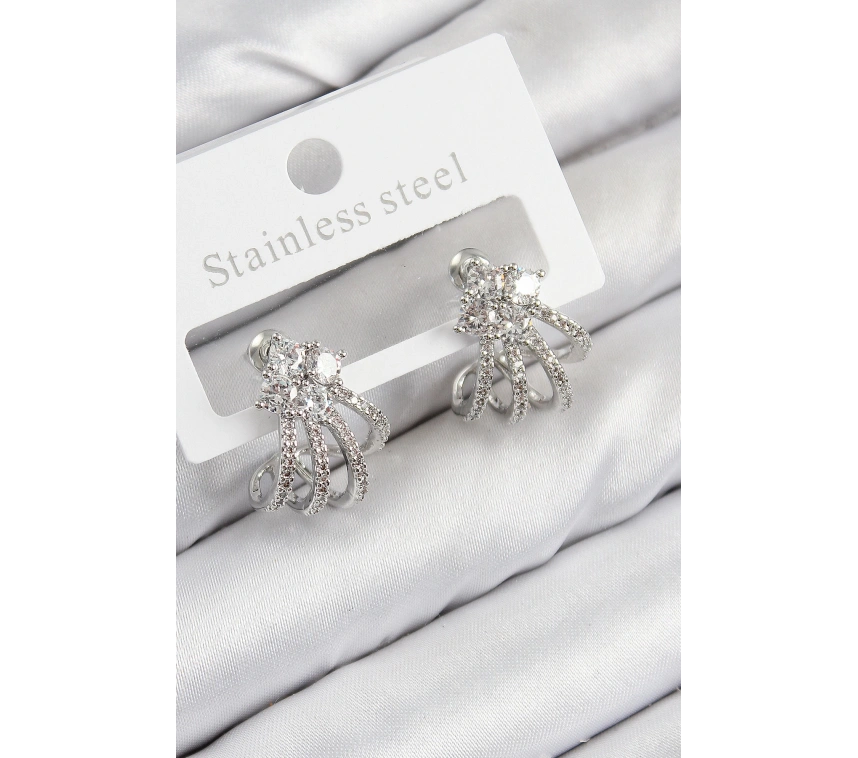 Pirinç Zirkon Taşlı Model Gümüş Renk Kadın Küpe