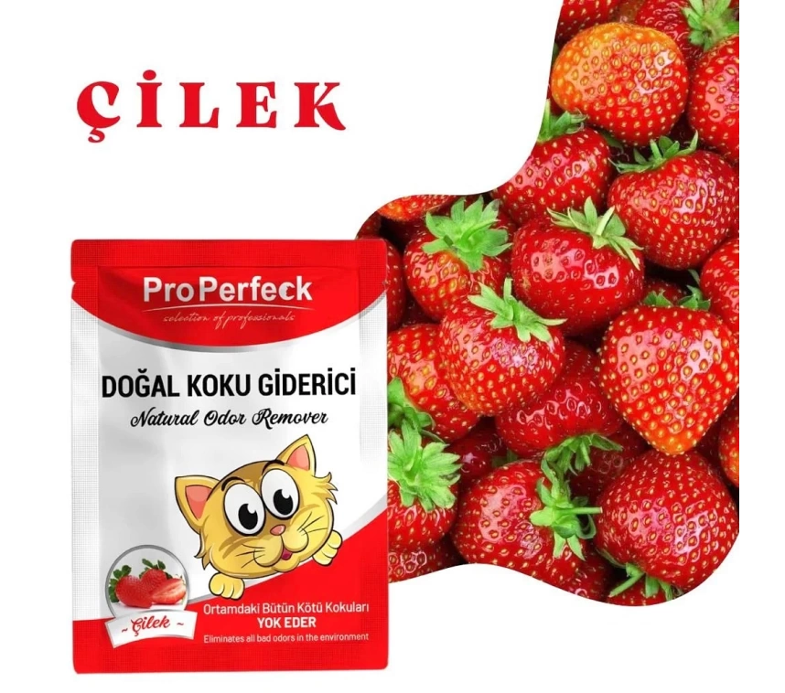 Pro Perfeck Çilek Kokulu Koku Giderici 25 gr