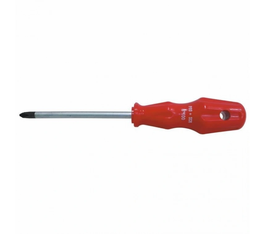 Pro-Scr 02581 Yıldız Uçlu Tornavida 6X100 mm